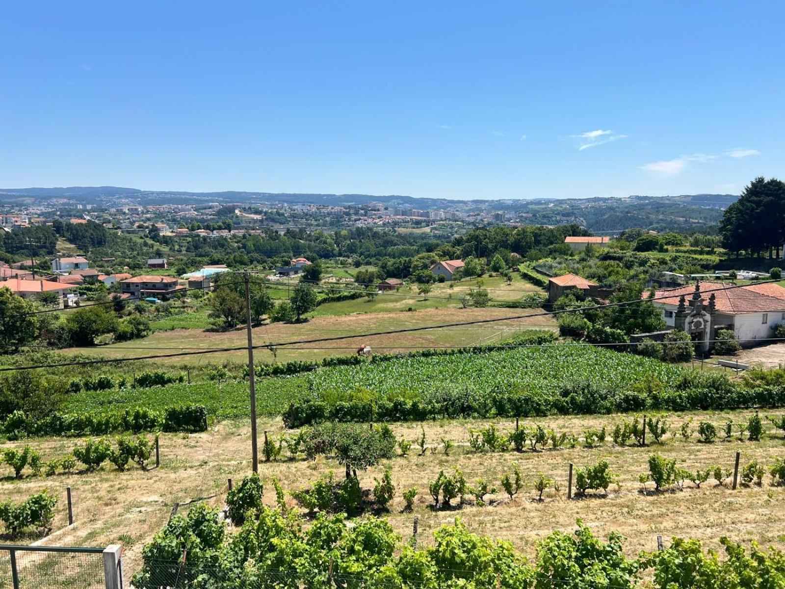 Casa Machado Villa Vila Real Luaran gambar